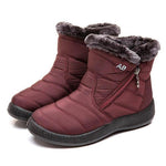 🔥Last Day 50% OFF🔥Women's Ankle Snow Boots, Fleece Liner Casual Keep Warm Zipper Booties